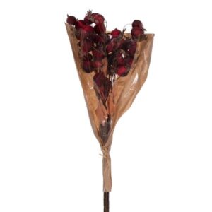 RED ARTIFICIAL DRIED FRUIT BUNCH