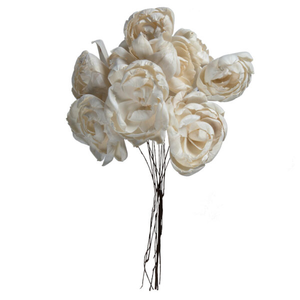 NATURAL BOTANICALS 4" PEONY SOLA FLOWER ON 12" STEM 12/BAG - 12 STEM/POLYBAG. PRESERVED